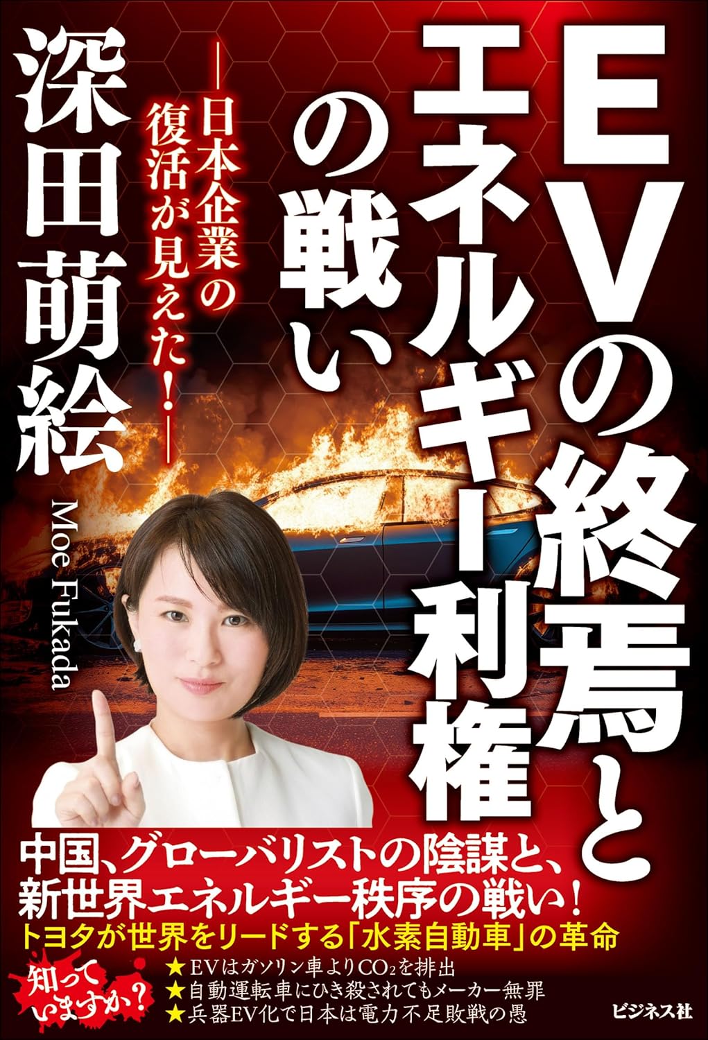 EVの終焉とエネルギー利権の戦い 日本企業の復活が見えた!の写真