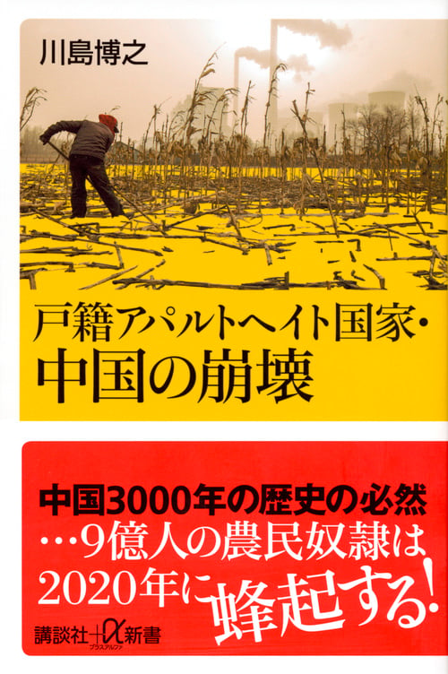 戸籍アパルトヘイト国家・中国の崩壊 (講談社+α新書)の写真