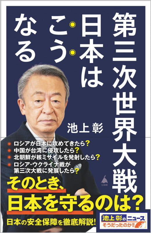 第三次世界大戦 日本はこうなる (SB新書)の写真