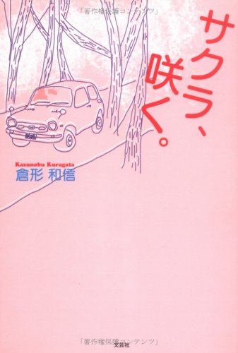 サクラ、咲く。の写真