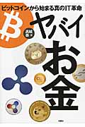 ヤバイお金 ビットコインから始まる真のIT革命の写真