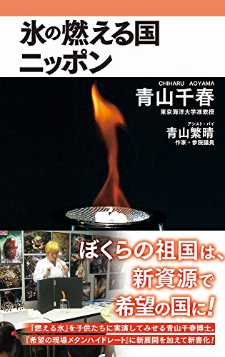 氷の燃える国ニッポン (ワニブックスPlus新書)の写真