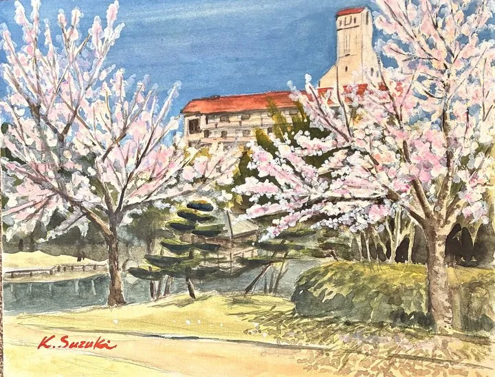 桜咲く丘
